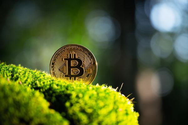 The Rise of Eco-Friendly Cryptocurrencies: Shaping a Sustainable Future for Digital Assets.